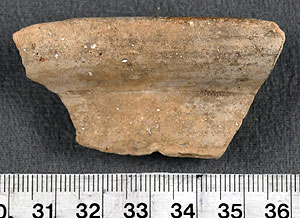 Thumbnail of Rim Sherd (1956.02.0502)