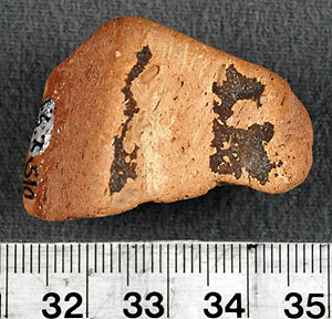 Thumbnail of Body Sherd (1956.02.0510)