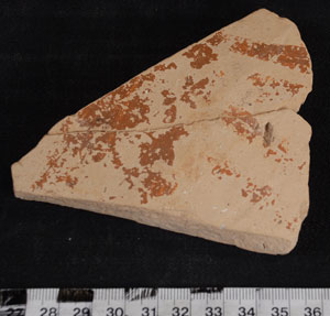 Thumbnail of Body Sherd (1956.02.0538)