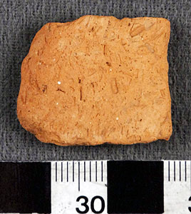 Thumbnail of Sauceboat (?) Rim Sherd (1956.02.0579)