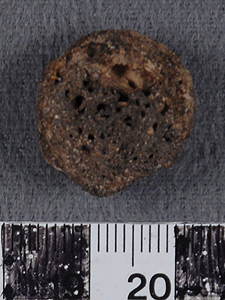 Thumbnail of Body Sherd (1956.02.0627)
