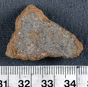 Thumbnail of Body Sherd (1956.02.0636)