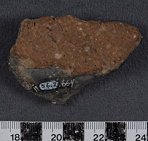 Thumbnail of Body Sherd (1956.02.0664)