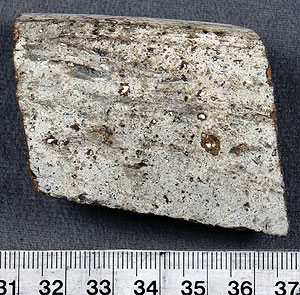 Thumbnail of Rim Sherd (1956.02.0675)