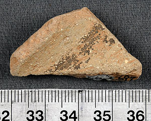 Thumbnail of Rim Sherd (1956.02.0697)