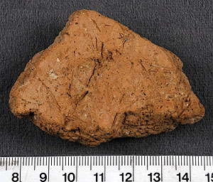 Thumbnail of Body Sherd (1956.02.0703)