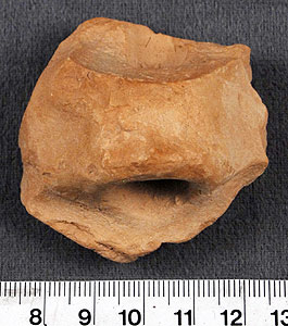 Thumbnail of Handle Sherd (1956.02.0712)