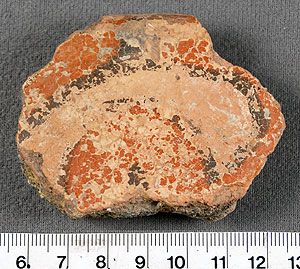 Thumbnail of Rim Sherd (1998.18.0031)