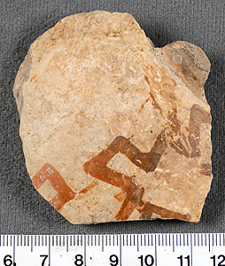 Thumbnail of Body Sherd (1998.18.0075)