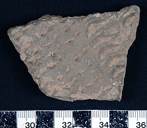 Thumbnail of Body Sherd (1998.19.0038)