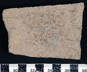 Thumbnail of Body Sherd (1998.19.0043)