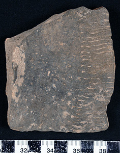 Thumbnail of Body Sherd (1998.19.0046)