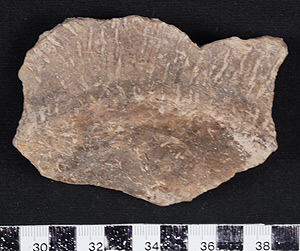 Thumbnail of Body Sherd (1998.19.0047)