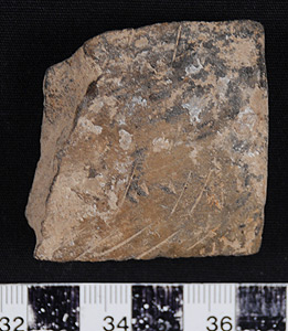 Thumbnail of Body Sherd (1998.19.0049)
