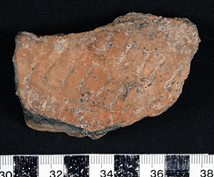 Thumbnail of Body Sherd (1998.19.0050)