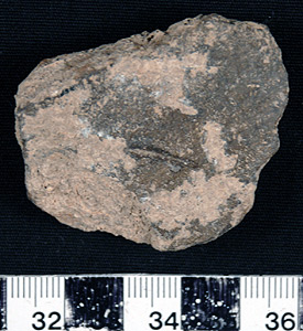 Thumbnail of Body Sherd (1998.19.0052)