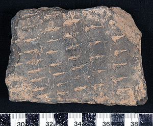 Thumbnail of Body Sherd (1998.19.0054)
