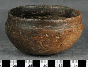 Thumbnail of Bowl (1998.19.0628)