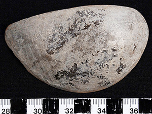 Thumbnail of Scraper, Paddle (2008.03.0047C)