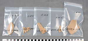 Thumbnail of Ten Sherds (2009.01.0004)