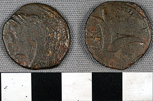 Thumbnail of Coin: AE 22, Venusia (1900.63.0625)