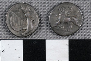 Thumbnail of Coin: Hemidrachm, Sicyon (1900.63.0655)