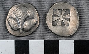 Thumbnail of Coin: Didrachm, Selinus (1900.63.0691)
