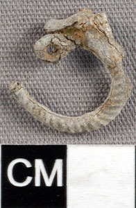 Thumbnail of Finger Ring (1914.05.0099)