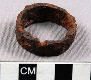 Thumbnail of Ring-Shaped Fragment (1914.05.0132)