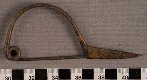 Thumbnail of Fibula (1915.03.0043)