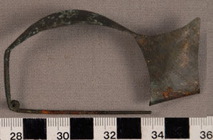 Thumbnail of Fibula (1915.03.0218)