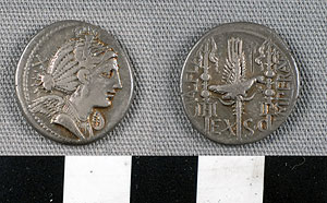 Thumbnail of Coin: Roman Republic, Denarius (1919.63.0545)