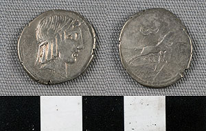 Thumbnail of Coin: Roman Republic, Denarius (1919.63.0705)