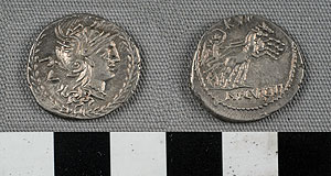 Thumbnail of Coin: Roman Republic, Denarius (1919.63.0721)