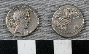Thumbnail of Coin: Roman Republic, Denarius (1919.63.0726)