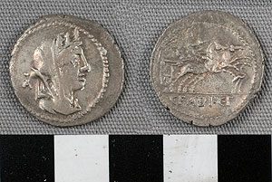 Thumbnail of Coin: Roman Republic, Denarius (1919.63.0758)