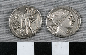 Thumbnail of Coin: Roman Republic, Denarius (1919.63.0763)