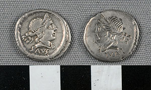 Thumbnail of Coin: Roman Republic, Denarius (1919.63.0764)
