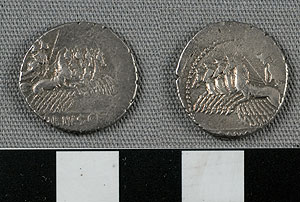 Thumbnail of Coin: Roman Republic, Denarius (1919.63.0789)