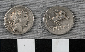 Thumbnail of Coin: Roman Republic, Denarius (1919.63.0797)