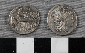 Thumbnail of Coin: Roman Republic, Denarius (1919.63.0799)