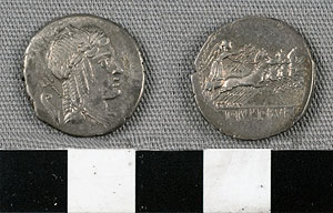 Thumbnail of Coin: Roman Republic, Denarius (1919.63.0802)