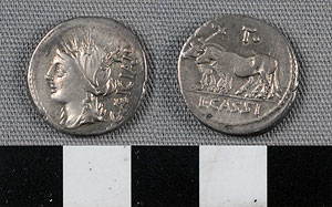 Thumbnail of Coin: Roman Republic, Denarius (1919.63.0840)