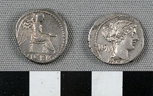 Thumbnail of Coin: Roman Republic, Denarius (1919.63.0879)