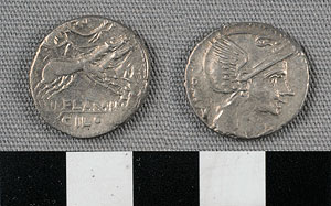 Thumbnail of Coin: Roman Republic, Denarius (1919.63.0887)