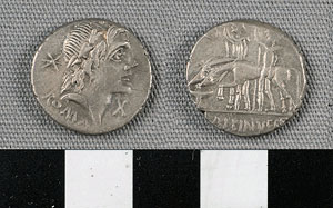Thumbnail of Coin: Roman Republic, Denarius (1919.63.0889)