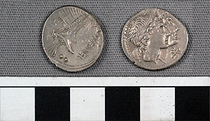 Thumbnail of Coin: Roman Republic, Denarius (1919.63.0903)