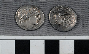 Thumbnail of Coin: Roman Republic, Denarius (1919.63.0904)
