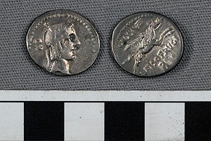 Thumbnail of Coin: Roman Republic, Denarius (1919.63.0910)