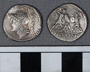 Thumbnail of Coin: Roman Republic, Denarius (1919.63.0942)